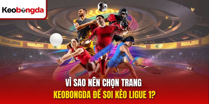 Vì sao nên chọn trang keobongda để soi kèo Ligue 1?