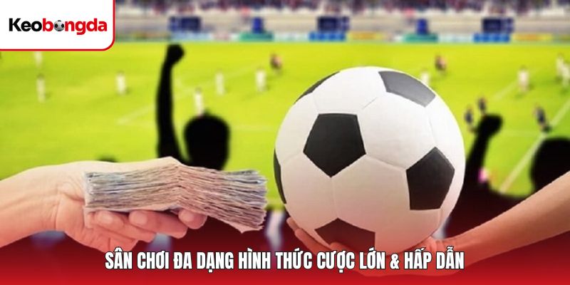 Sân chơi đa dạng hình thức cược lớn & hấp dẫn