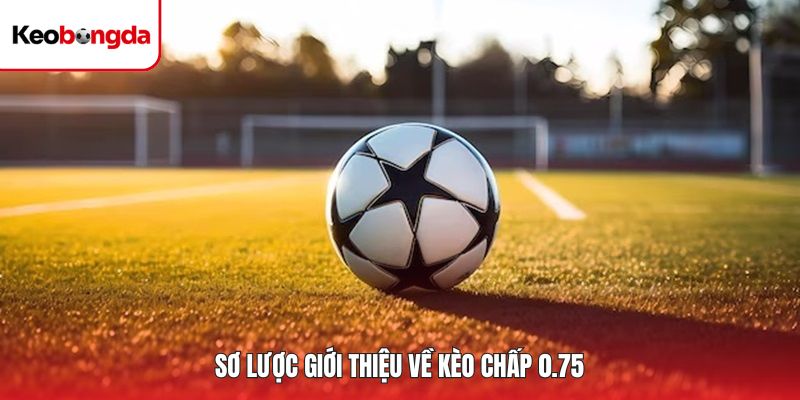 Sơ lược giới thiệu về kèo chấp 0.75